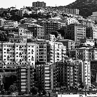 Buy canvas prints of Genoa Cityscape in mono by Dave Denby