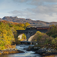 Buy canvas prints of Scottish Steam  by David Tomlinson