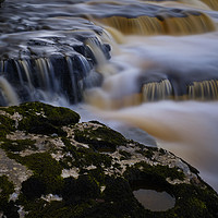 Buy canvas prints of Aysgarth lower falls - Yorkshire Dales  by David Tomlinson