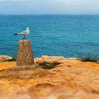 Buy canvas prints of Digital painting of Seagull on Perch by Stuart Atton