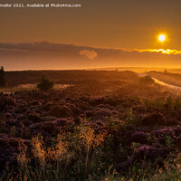 Buy canvas prints of Majestic Sunrise over Staffordshire Moors by tammy mellor