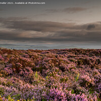 Buy canvas prints of Majestic Heather Clouds by tammy mellor