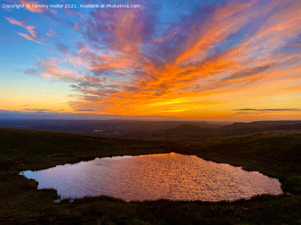 Majestic Sunset over Mermaid Pool Picture Board by tammy mellor