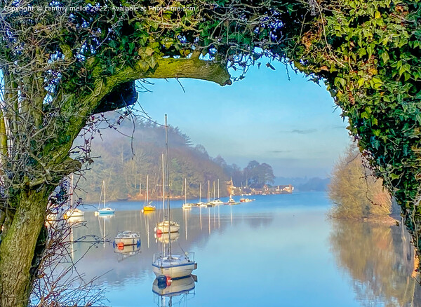 Serene Winter Morning at Rudyard Lake Picture Board by tammy mellor