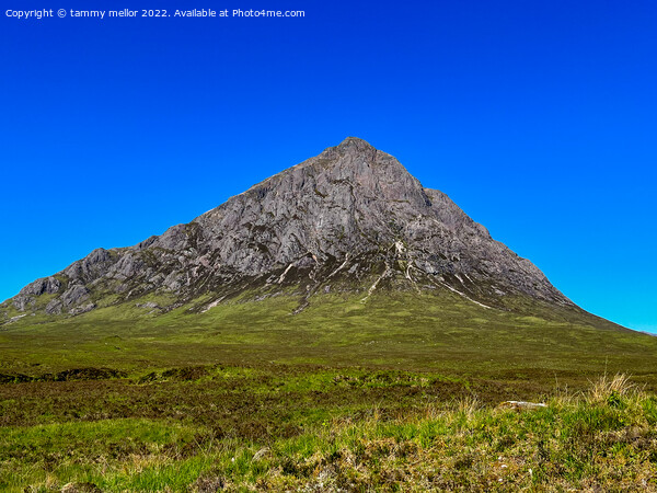 Majestic Corrour Mountain Picture Board by tammy mellor