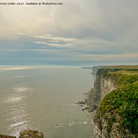 Buy canvas prints of Majestic Sunrise Over Bempton Cliffs by tammy mellor