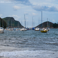 Buy canvas prints of Tranquil Watermouth Harbour by tammy mellor