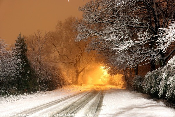 Fiery Winter Drive Picture Board by tammy mellor