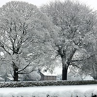 Buy canvas prints of Enchanting Winter Wonderland by tammy mellor