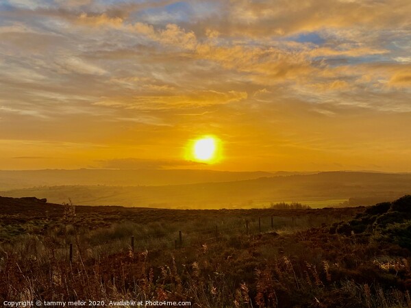 Majestic Sunrise over Staffordshire Moorlands Picture Board by tammy mellor