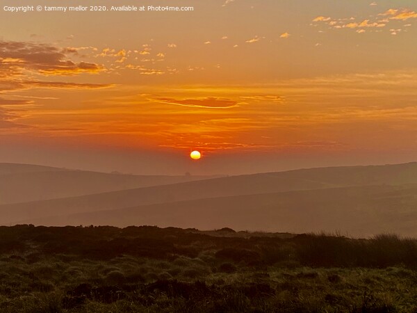 Misty Sunrise over Staffordshire Moorlands Picture Board by tammy mellor