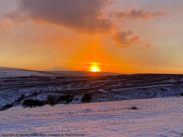 Majestic Sunset Over Frosty Moorlands Picture Board by tammy mellor