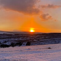 Buy canvas prints of Majestic Sunset Over Frosty Moorlands by tammy mellor