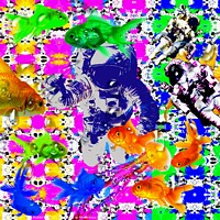 Buy canvas prints of CRAZY DREAMIN' 4 by OTIS PORRITT