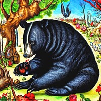 Buy canvas prints of Black Bear (in the style of,Hieronymus Bosch) 4 by OTIS PORRITT