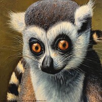 Buy canvas prints of Ring-tailed lemur 7 by OTIS PORRITT