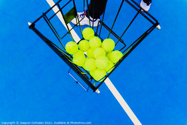 Basket full of yellow tennis balls for training tennis players o Picture Board by Joaquin Corbalan