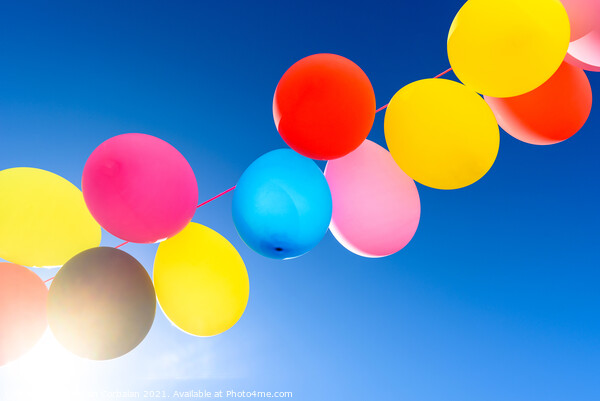 Pretty sunlit solid color balloons viewed from below with blue s Picture Board by Joaquin Corbalan