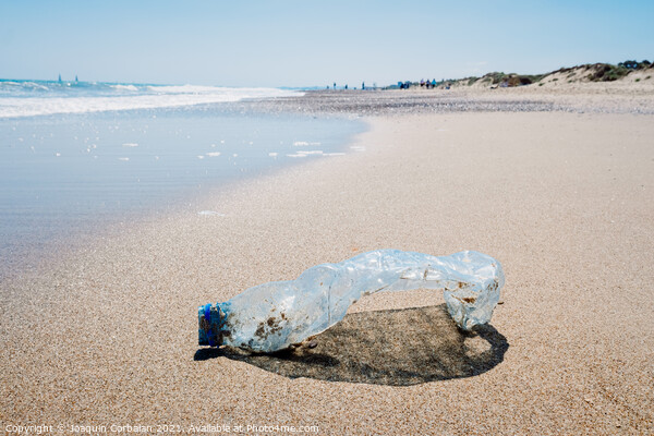 Abandoned pet plastic bottle on the shore of a clean beach, poll Picture Board by Joaquin Corbalan