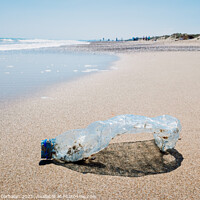 Buy canvas prints of Abandoned pet plastic bottle on the shore of a clean beach, poll by Joaquin Corbalan