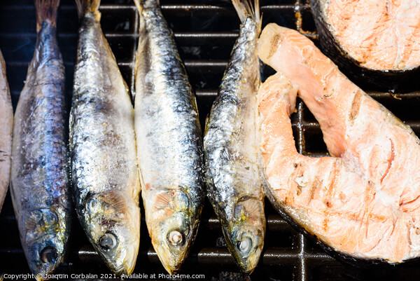 Healthy omega-3 proteins and fats from sardines and barbecued sa Picture Board by Joaquin Corbalan
