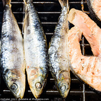 Buy canvas prints of Healthy omega-3 proteins and fats from sardines and barbecued sa by Joaquin Corbalan