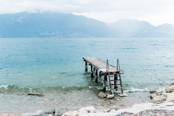 Quiet shore of Lake Garda on a rainy day near the empty jetty. Picture Board by Joaquin Corbalan
