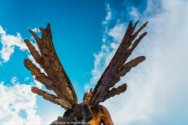 A sculpture of an angel, rear view of its wings against the sky. Picture Board by Joaquin Corbalan
