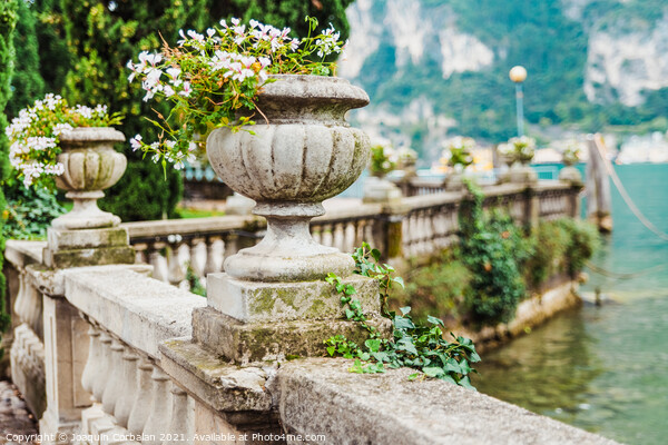 Elegant flower pots decorate the classic stone railing on a roma Picture Board by Joaquin Corbalan
