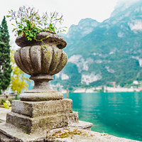 Buy canvas prints of Elegant flower pots decorate the classic stone railing on a roma by Joaquin Corbalan