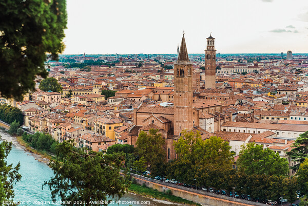 Panoramic from the top of the Castle of Verona, with a view of t Picture Board by Joaquin Corbalan