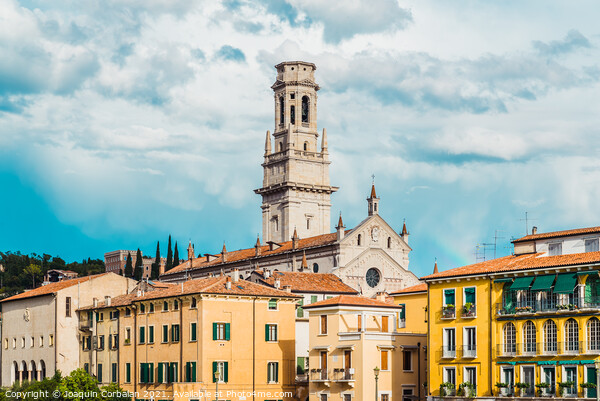 Panoramic of Verona crossed by the river Adige, with the tower o Picture Board by Joaquin Corbalan
