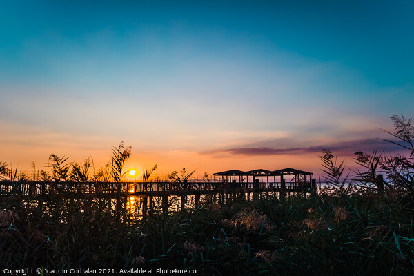 A beautiful sunset on Lago di Garda near the wooden jetty. Picture Board by Joaquin Corbalan