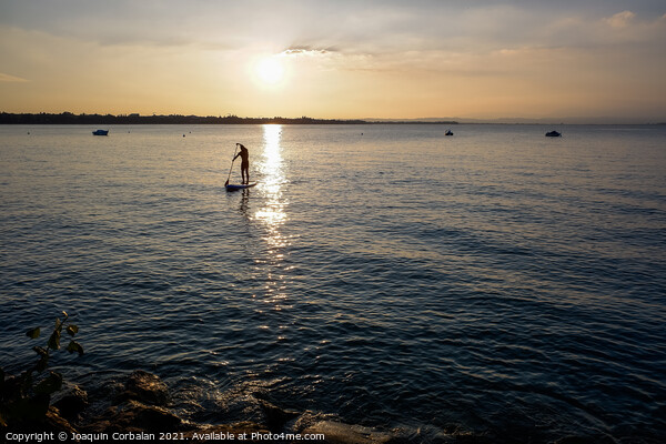 A young man on a paddle surf board approaches the shore of the l Picture Board by Joaquin Corbalan
