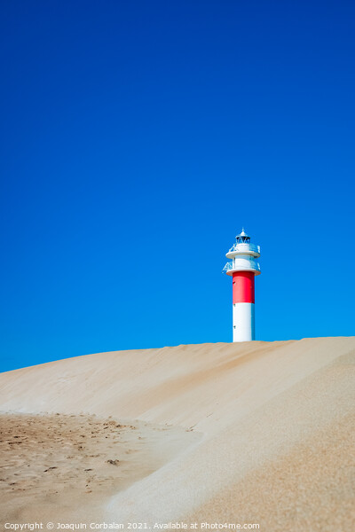 A lighthouse seen from the sand dunes of a beach on a sunny day. Picture Board by Joaquin Corbalan