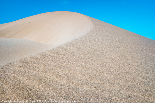Fine sand blown by the wind creates dunes on the shores of the sea. Picture Board by Joaquin Corbalan