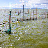 Buy canvas prints of Traditional gear and fishing nets placed in the Valencia lagoon  by Joaquin Corbalan