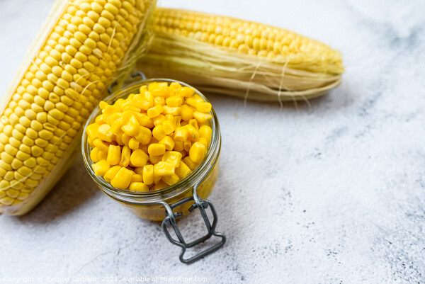 Sweet corn kernels are boiled and packed in cans to preserve the Picture Board by Joaquin Corbalan