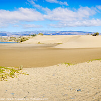 Buy canvas prints of Sand dunes on the Canarian beach of Maspalomas. by Joaquin Corbalan