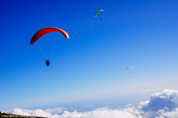Athletes use an ultralight flexible glider, paraglider, to fly a Picture Board by Joaquin Corbalan