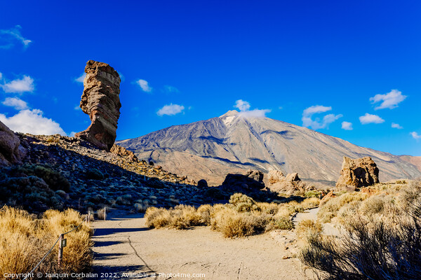 Los Roques are volcanic rock formations in Tenerife, some near t Picture Board by Joaquin Corbalan