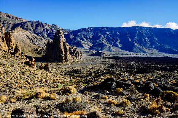 Panoramic landscape in Roques de Garcia, Tenerife, spectacular v Picture Board by Joaquin Corbalan