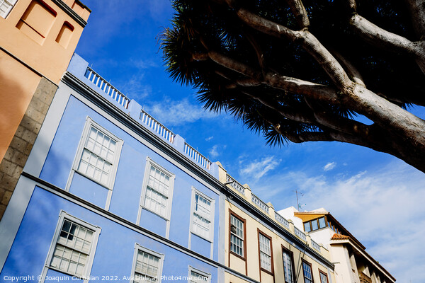 Colorful streets of the old town of San cristobal Tenerife Picture Board by Joaquin Corbalan