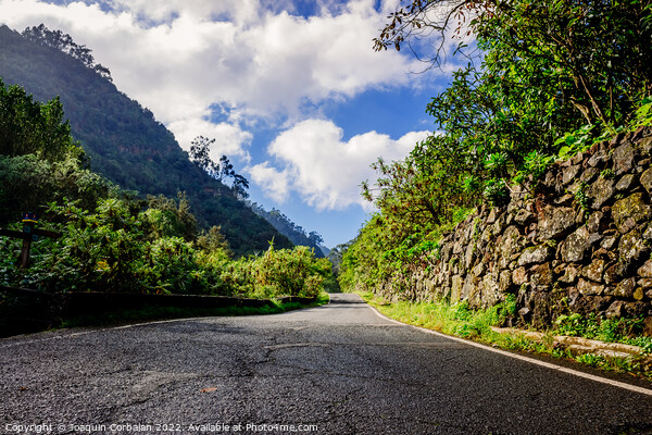 Sunny day on a road between mountains of the Canary Islands, in  Picture Board by Joaquin Corbalan