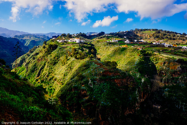 View of the Moya ravine, on the island of Gran Canaria, panorami Picture Board by Joaquin Corbalan