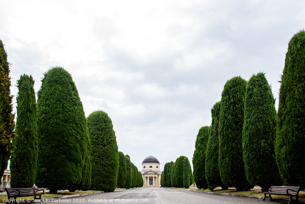 View of the monumental cemetery in Verona on a gloomy winter day Picture Board by Joaquin Corbalan