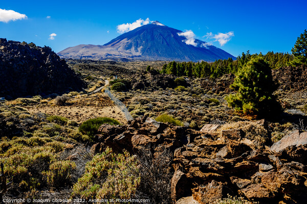 Beautiful panoramic image of the Teide volcano, a sunny day with Picture Board by Joaquin Corbalan