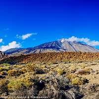 Buy canvas prints of Beautiful panoramic image of the Teide volcano, a sunny day with by Joaquin Corbalan