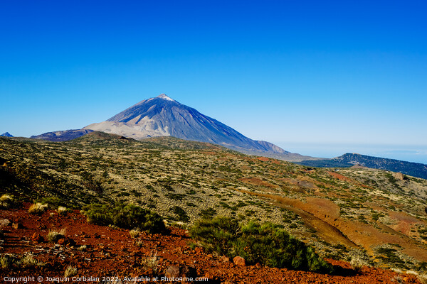 impressive view of the Teide volcano with the snowy peak in the  Picture Board by Joaquin Corbalan