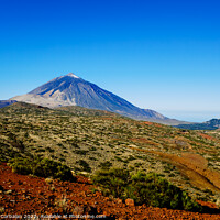 Buy canvas prints of impressive view of the Teide volcano with the snowy peak in the  by Joaquin Corbalan